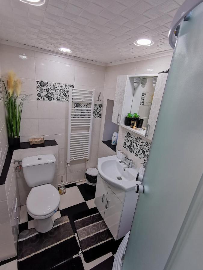 Apartament Dilama Sinaia Exterior photo